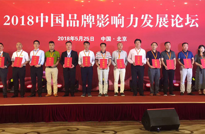 优格玛荣膺“2018中国品牌影响力(行业)十大领袖”称号