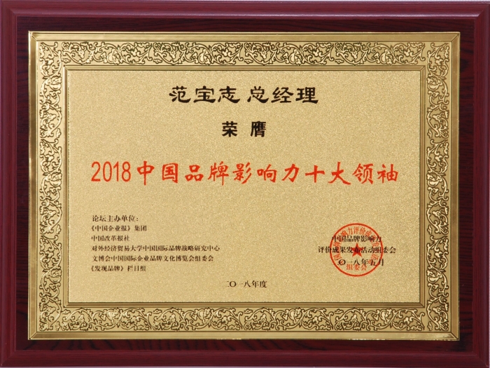 2018中国(行业)十大影响力品牌