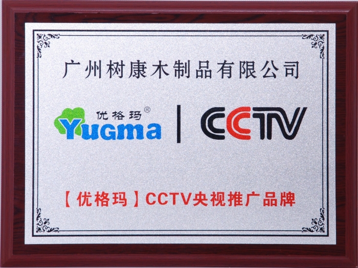 CCTV央视推广品牌