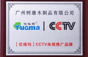 CCTV央视推广品牌