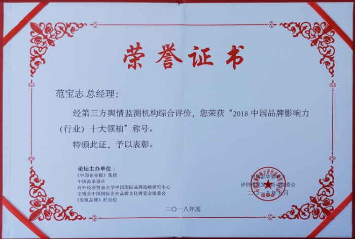 2018中国品牌影响力(行业)十大领袖