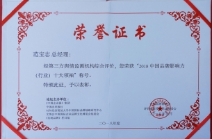 2018中国品牌影响力(行业)十大领袖